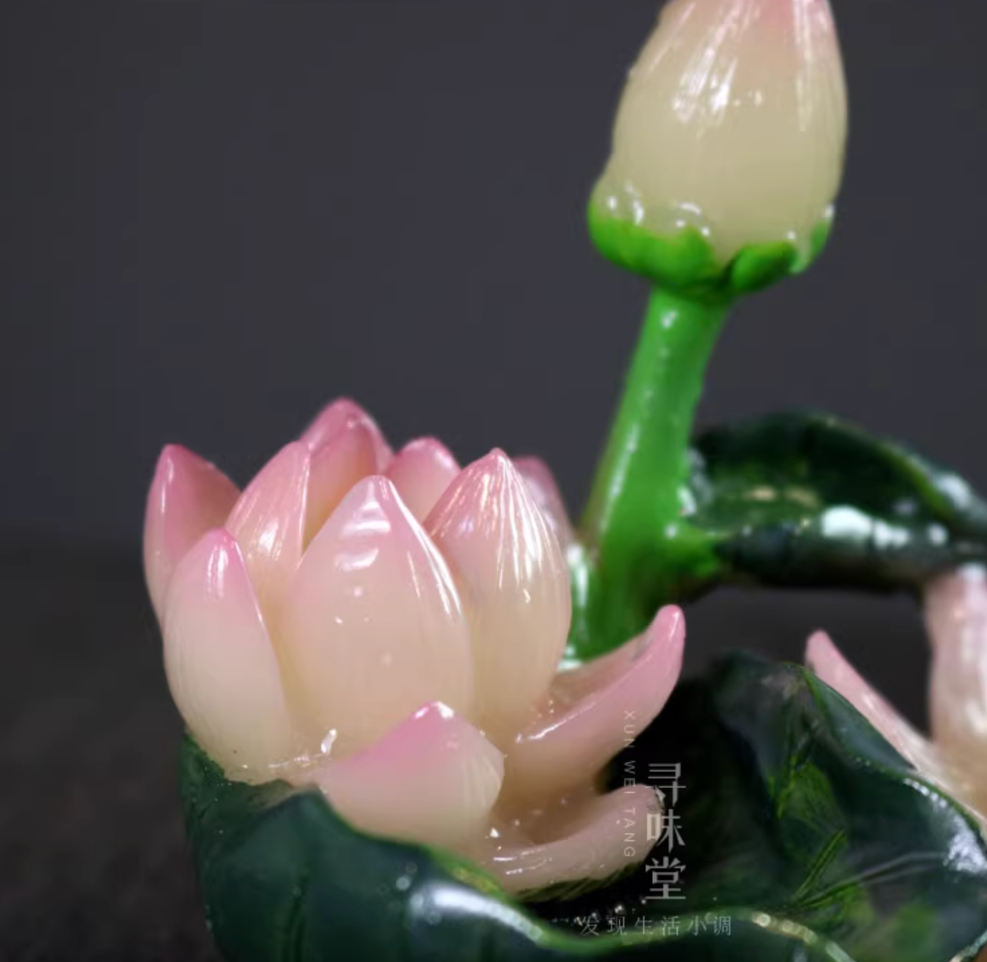【中華文化】お湯で色が変わる 牡丹 蓮