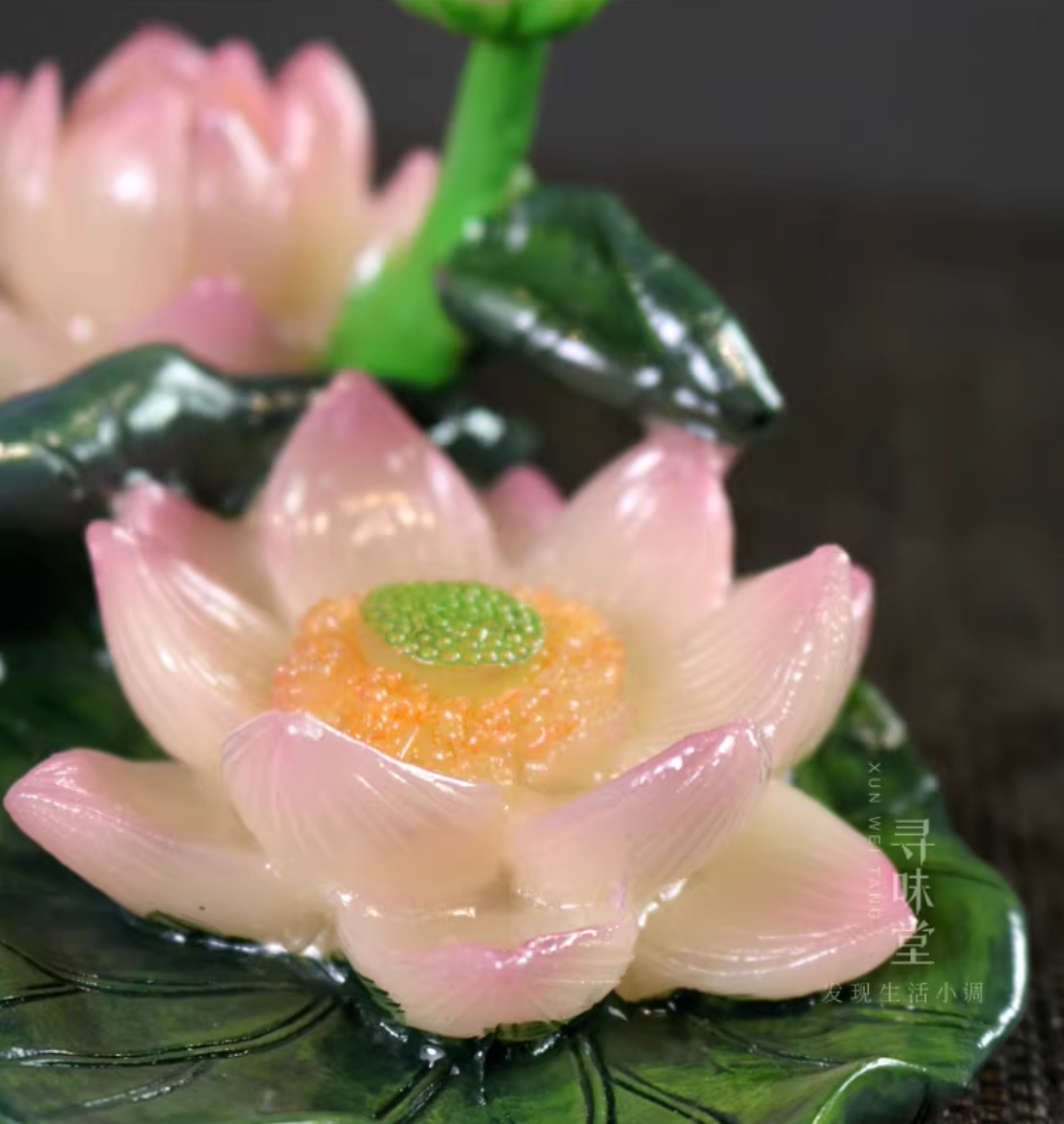 【中華文化】お湯で色が変わる 牡丹 蓮