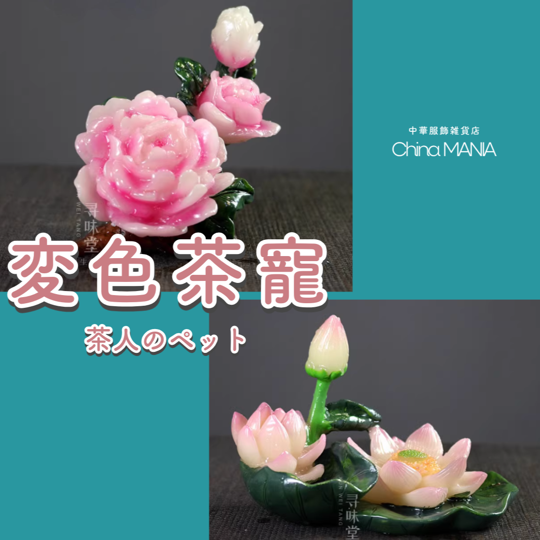【中華文化】お湯で色が変わる 牡丹 蓮